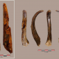 Ferramentas de madeira encontradas na Espanha eram de neandertais