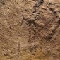 Paleontólogos descobriram as “pegadas mais antigas da Terra”