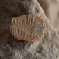 Raro amuleto islâmico com mil anos é encontrado em Jerusalém