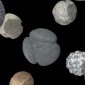 Mistério das bolas de pedra com 5 mil anos continua a intrigar arqueólogos