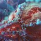 Acabamos de descobrir a molécula que torna o HIV tão perigoso