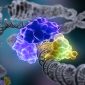 Gene que causa o câncer “pulou” das plantas para os humanos