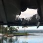“Bomba de lava” do Kilauea atinge embarcação e faz 23 feridos