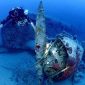 “Cavalo de batalha” de Hitler é encontrado no fundo do Mar Egeu