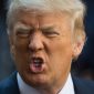 Se procurar “idiota” no Google, é bem provável que apareça Donald Trump