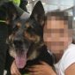 Sombra, a cadela policial especialista em encontrar droga, tem a cabeça a prêmio na Colômbia