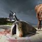 Asteroide que matou os dinossauros causou extinção maciça dos megatubarões