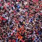 ONU pede ao Brasil que garanta direito de Lula se candidatar