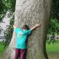 Abraçar árvores pode ajudar a combater depressão, dor de cabeça e hiperatividade