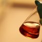 Cientistas podem ter conseguido criar um tipo de sangue universal