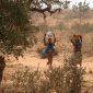 "Imigrantes climáticos" podem passar de 200 milhões no século 21