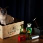 Depois do gato, o termômetro de Schrodinger