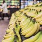 Depois dos morangos, agulhas chegam às maçãs e bananas na Austrália