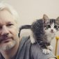 Assange recebe ultimato do Equador para alimentar o gato e limpar o banheiro