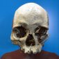 Crânio de Luzia é encontrado nos escombros do Museu Nacional