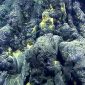 Incrível jardim de vidro foi criado pela mais profunda erupção vulcânica