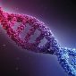 Cientistas resolvem o mistério de como e quando o DNA se replica