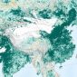 A China e a Índia estão literalmente tornando a Terra mais verde