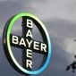 Bayer é condenada a pagar US$ 80 milhões por glifosato