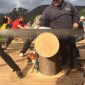 Timbersports; competições esportivas para lenhadores, agora no Brasil