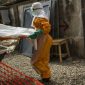 OMS declara emergência internacional no Congo devido a ebola
