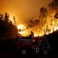 Países sul-americanos oferecem ajuda ao Brasil para combater incêndios