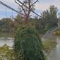 Caminhão com dobro do peso autorizado causou queda de ponte na França