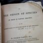 Depois de 160 anos, uma das teorias da evolução de Darwin é comprovada