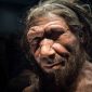 Pesquisadores portugueses revelam que os neandertais foram pioneiros na exploração de recursos marinhos
