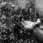 O motivo de 500 milhões de anos por trás do cheiro de chuva