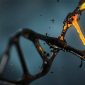 Cientistas rebatem decisão da China de coletar DNA de homens e meninos