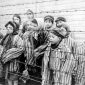 Ex-nazista julgado na Alemanha pede desculpas às vítimas do Holocausto