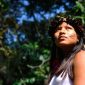 Amazonas é 3º estado com mais queimadas, emissões e desmatamento