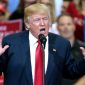 Donald Trump: o plano dos democratas para tentar afastar o presidente ainda antes do fim do mandato