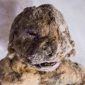 Egito descobre cemitério de 2 mil anos com 600 cães e gatos