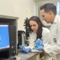 Biomaterial feito de colágeno e açúcar de algas se mostra capaz de estimular a regeneração óssea