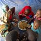 FAO diz que fome diminui 36% nos países da CPLP em apenas 3 anos