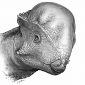 Descoberta nova espécie de dinossauro do tamanho de um pastor alemão